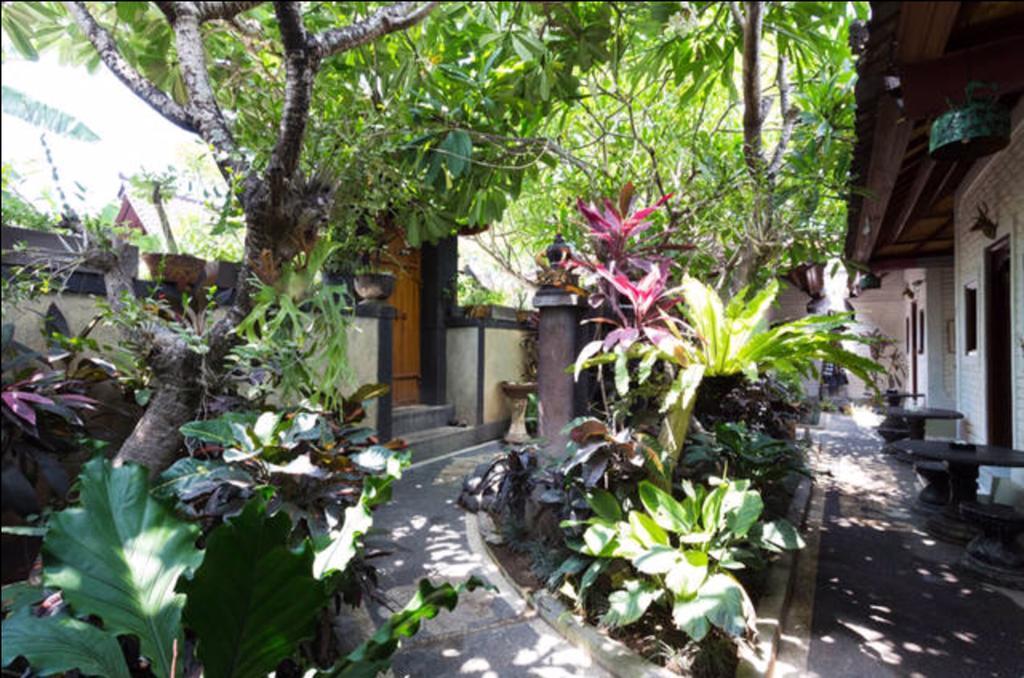 科洛布坎 新丹纳斯坎古旅馆酒店 外观 照片
